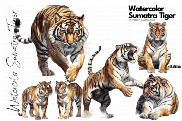 Download Endangered Watercolor Sumatra Tiger Set - Watercolor Collection