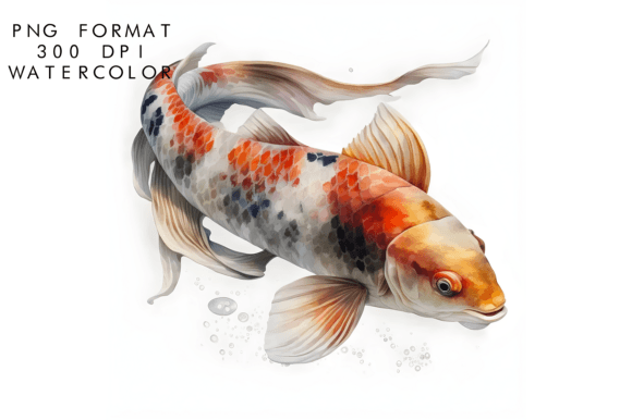 Download Watercolor Koi Fish Clipart - Watercolor Collection