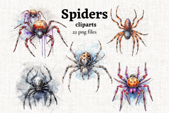 Download Watercolor Spiders Cobweb Clipart Set - Watercolor Collection