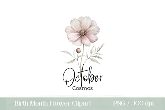 Download Birth Month Flower October Cosmos PNG - Flower Collection