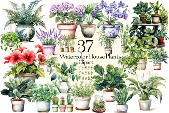 Download Watercolor House Plants Clipart - Watercolor Collection